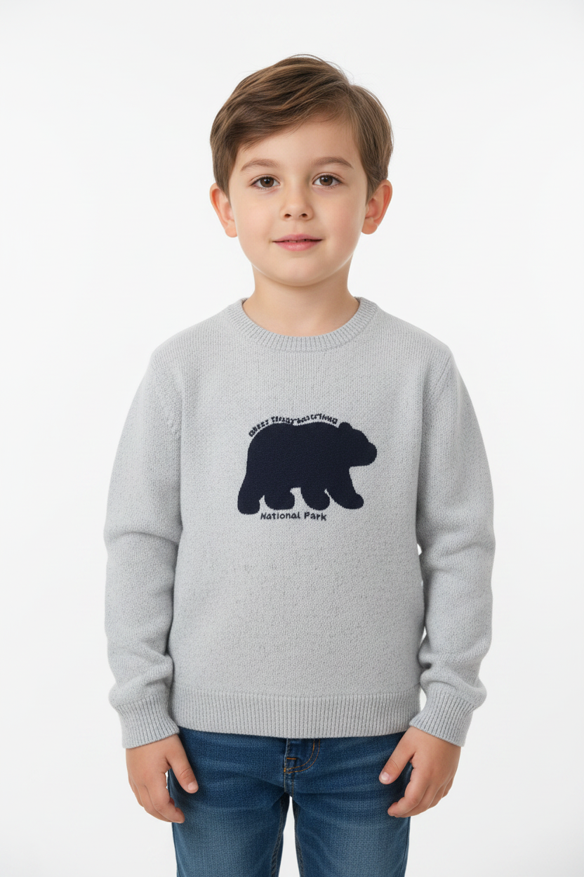 Boys Light Grey "National Park" Bear Graphic Knit Sweater Main image