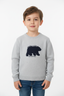 Boys Light Grey "National Park" Bear Graphic Knit Sweater