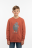 Boys Terracotta "Stay Wild – Great Wolf Lodge" Graphic Sweatshirt